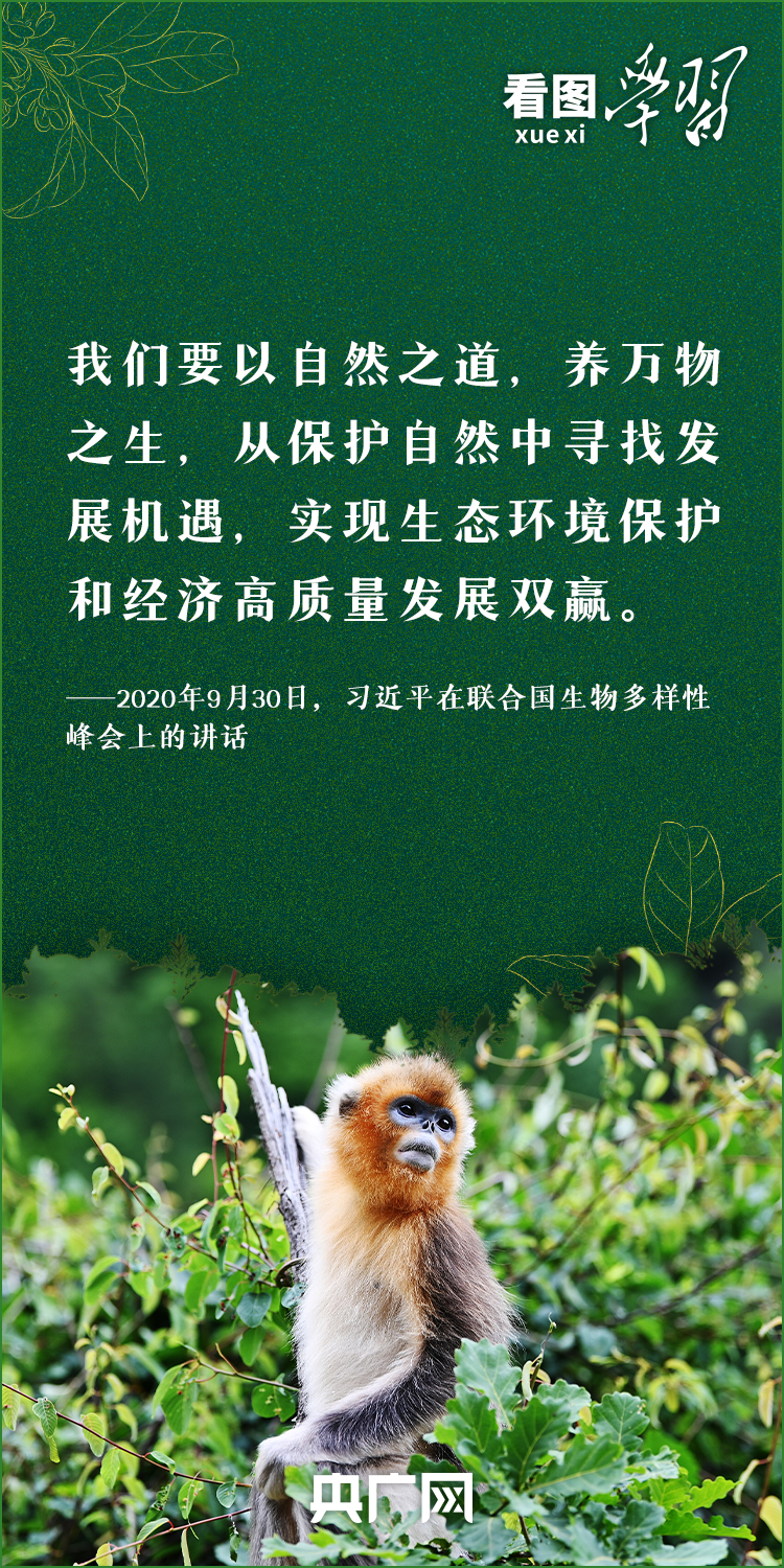 bbe650c17b228b78876272d406a2494a_746f5dd7591a6175489171221261259210_auth=7344ebee2eaa23a704cbe0f8c7ce7a89.png