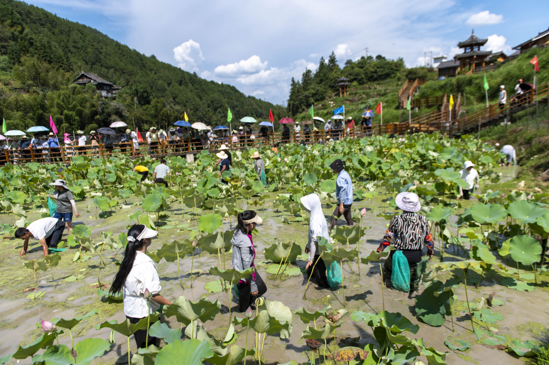 2024年8月27日，在貴州省從江縣洛香鎮(zhèn)榮新村四聯(lián)侗寨，游客和村民在參與摸魚活動(dòng)。_DSC8570.jpg